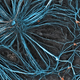 Illustration for article titled Award-winning images of some of the worlds smallest life forms